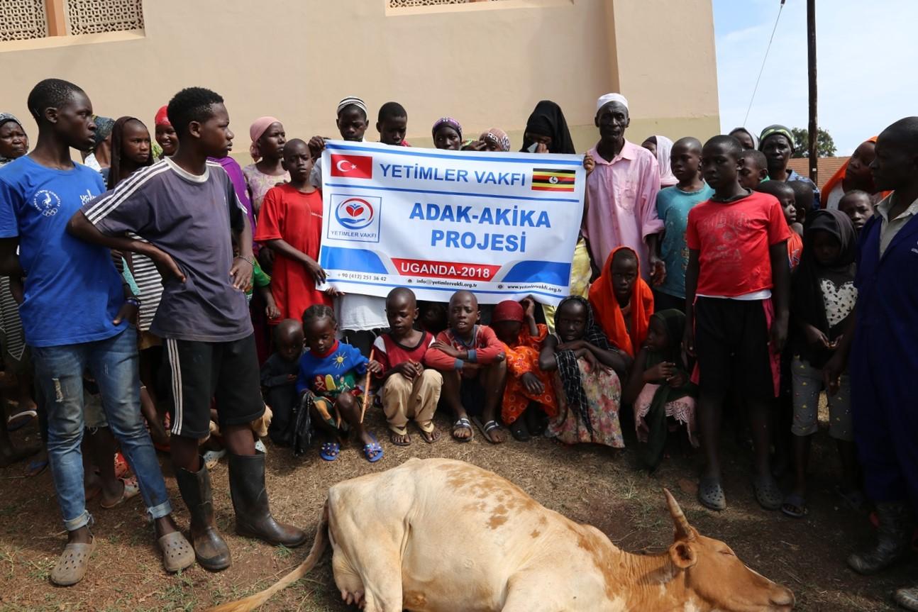 Ugandalı Müslümanlara kırmızı et yardımı